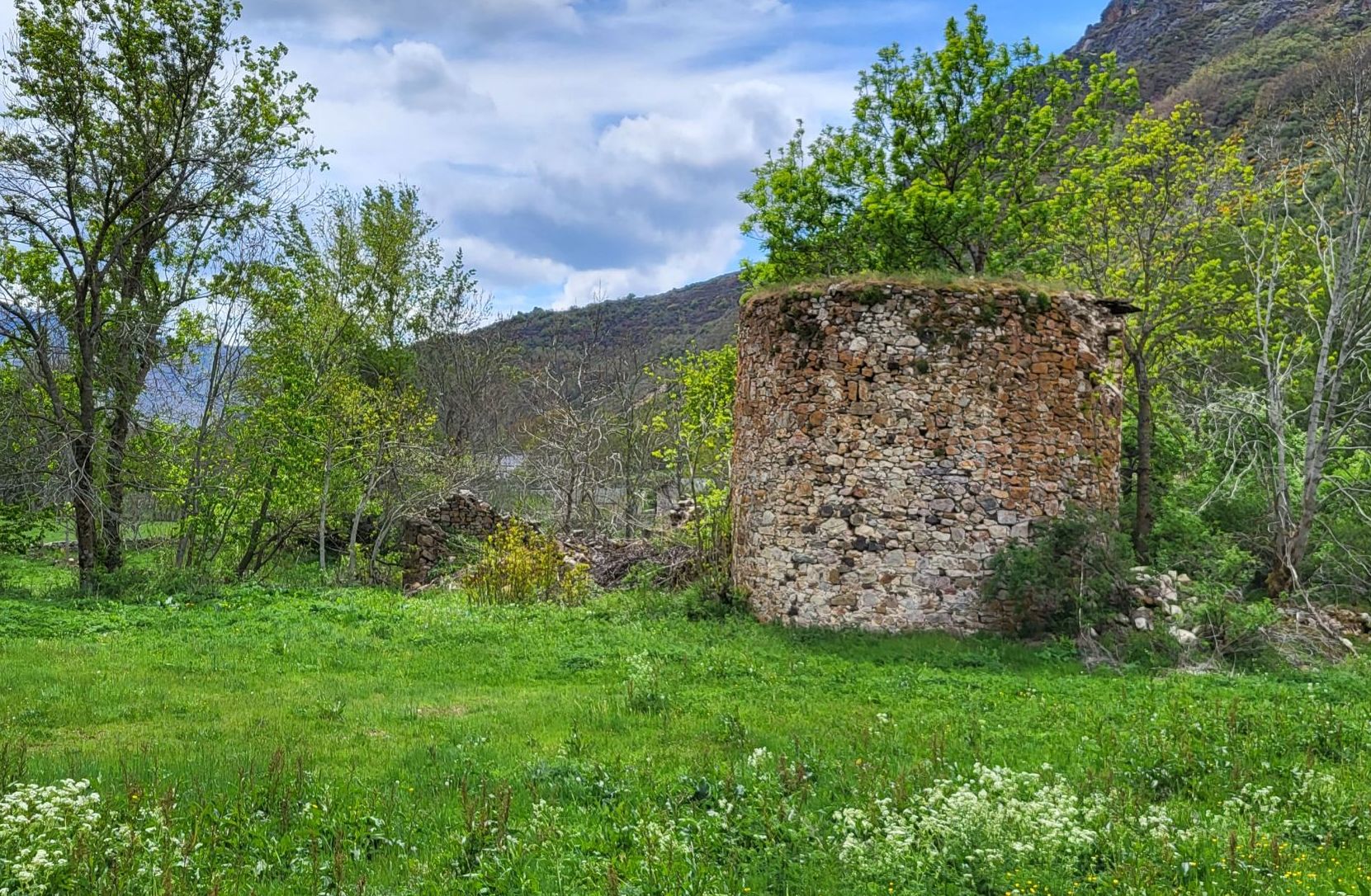 Torre