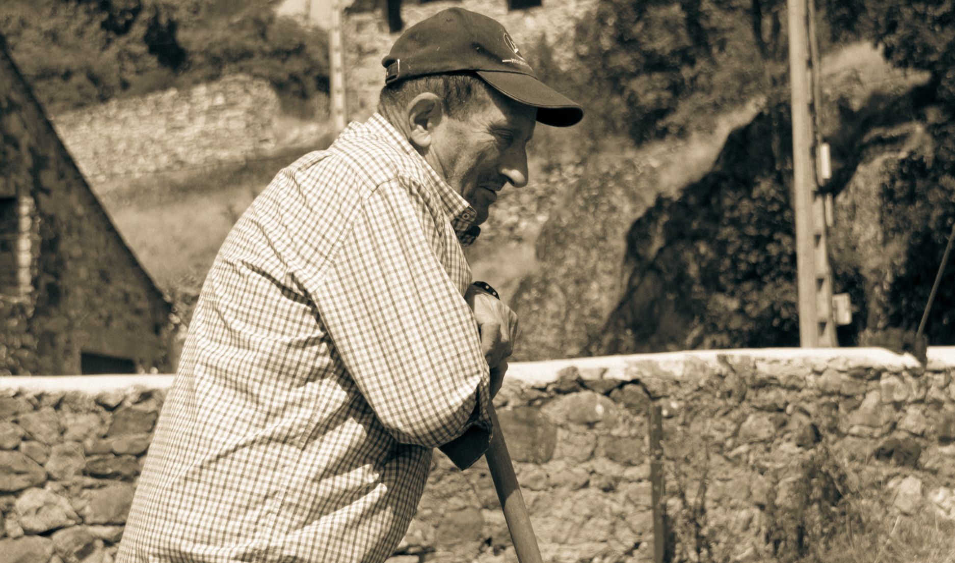 Ernesto